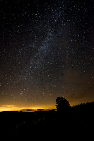 Night shot