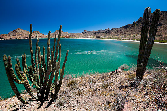 Mexique - Baja California Sur