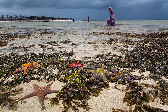 Zanzibar -Nungwi