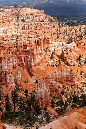 Bryce Canyon - Utah