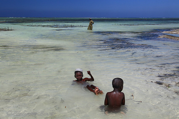 Zanzibar - Matemwe