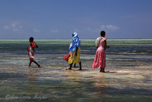 Zanzibar - Matemwe
