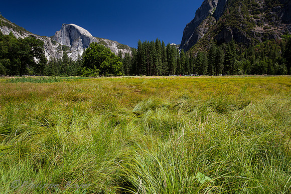 Yosemite Parc - California