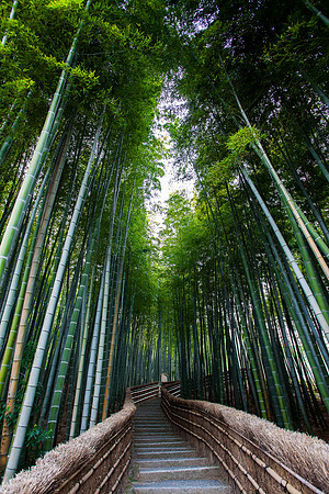 Kyoto - Arashiyama - adashino Nembuttsuji temple