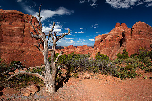 Arches - Utah