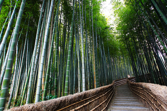 Kyoto - Arashiyama - adashino Nembuttsuji temple