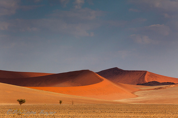 Sossusvlei - Namibia