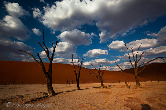 Sossusvlei - Namibia