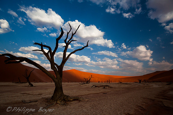 Sossusvlei - Namibia