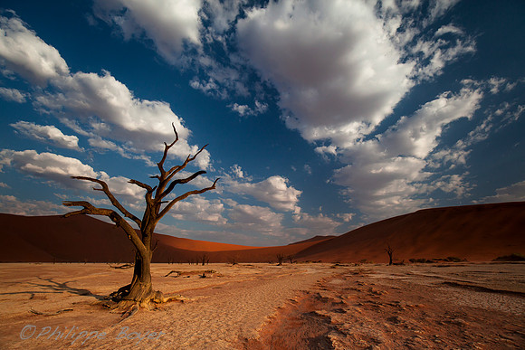 Dead Vlei - Namibia