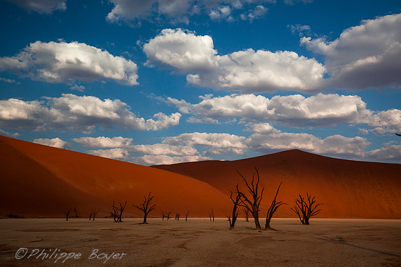 Dead Vlei - Namibia
