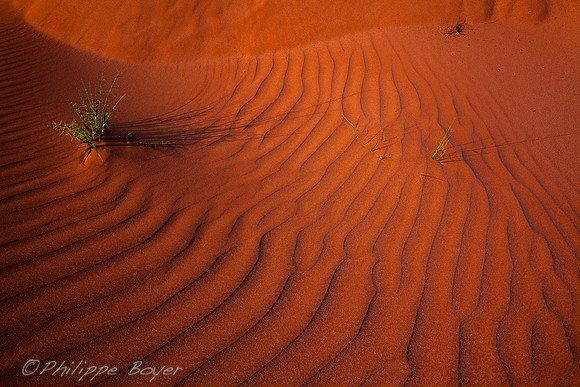 namibie