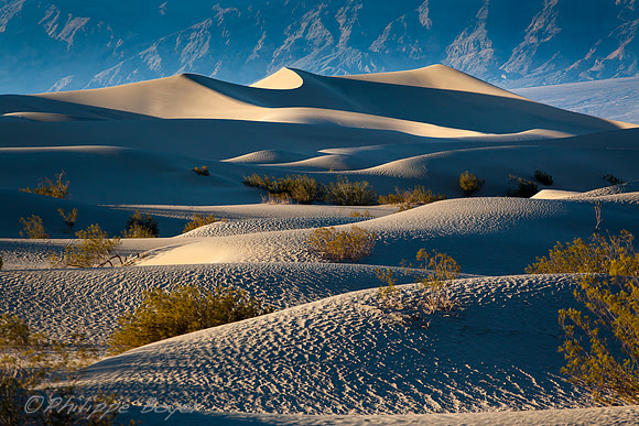 Death valley - Mesquite sand dunes