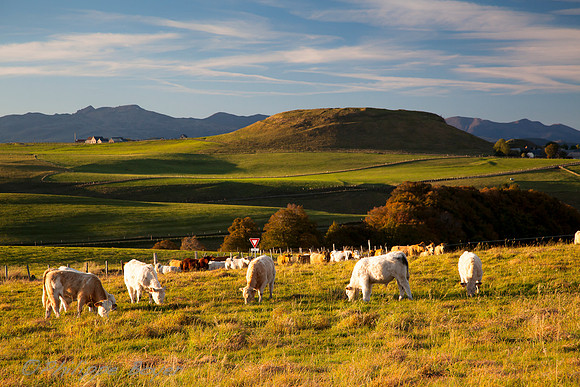 Cantal -Cezallier