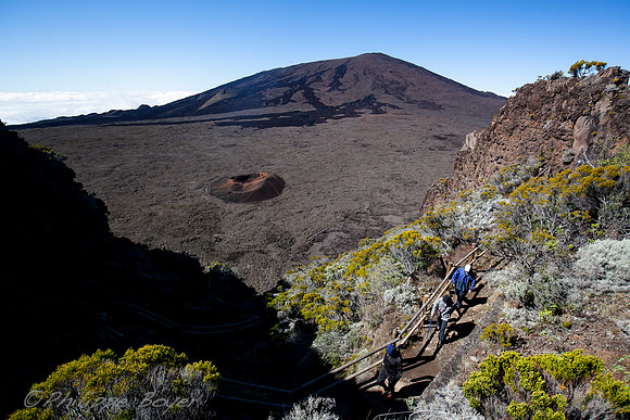 Formica Léo , piton de la fournaise