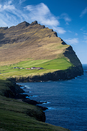 viðareiði -