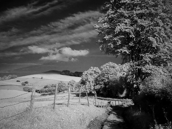 Florac - Cantal