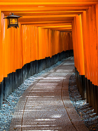 Kyoto - Fushimi Inari
