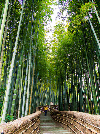 Kyoto - Arashiyama - adashino Nembuttsuji temple