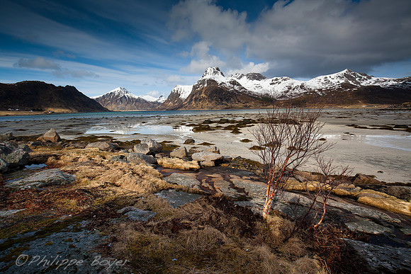 Between leknes and Ramberg - Lofoten