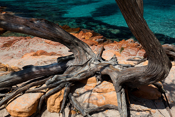 Corsica - Palombaggia