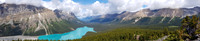 Lake Peyto - Banff national park