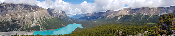 Lake Peyto - Banff national park