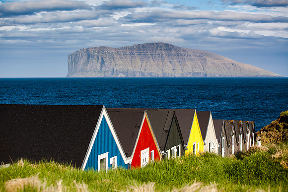 viðareiði