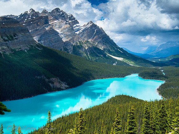 Lake Peyto - Banff national park