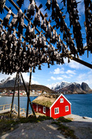 Reine - Lofoten