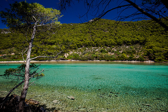 Croatie- mljet