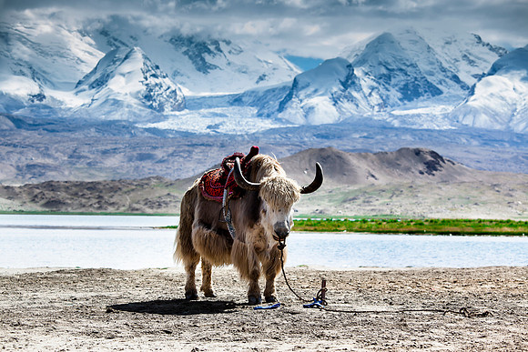 China - Karakul lake - Xinjiang