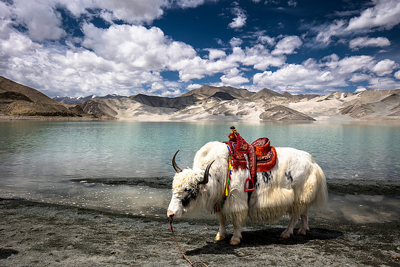 Bulungkol Lake - Xinjiang