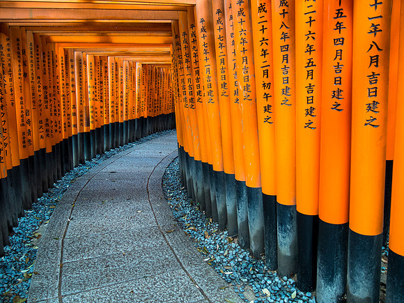 Kyoto - Fushimi Inari