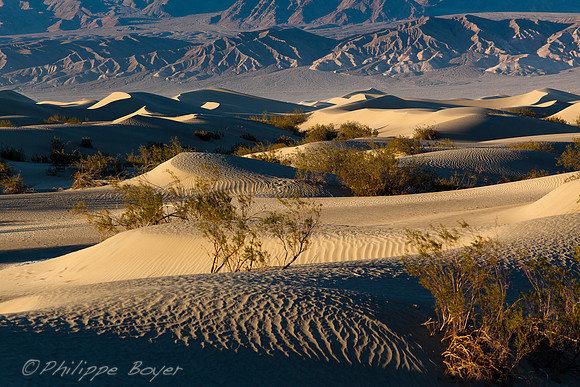 Death valley - Mesquite sand dunes