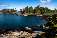 Pacfic Rim - Ucluelet